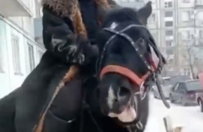верхом на лошади
