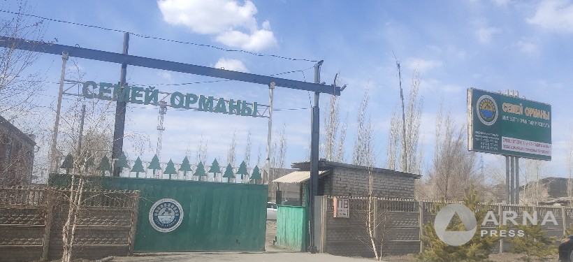 Семей орманы