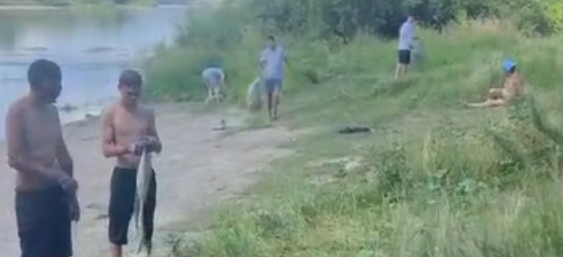 очищают пляж