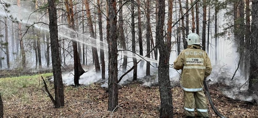 орман өртін сөндіру