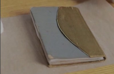 дневник Тани Савичевой