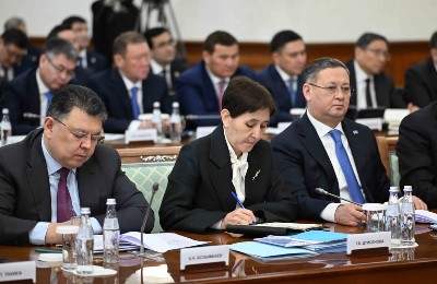 Правительство