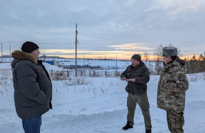 Шүлбі кеңті