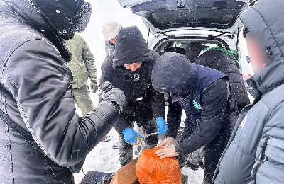 есірткі тәркілеу