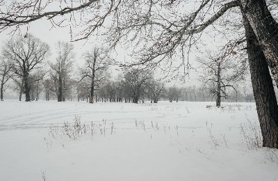 район выставки в Семее