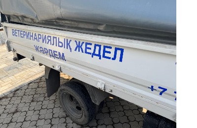 Скорая помощь для бродячих животных начала работать в Алматы