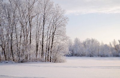 зима, снег, метели