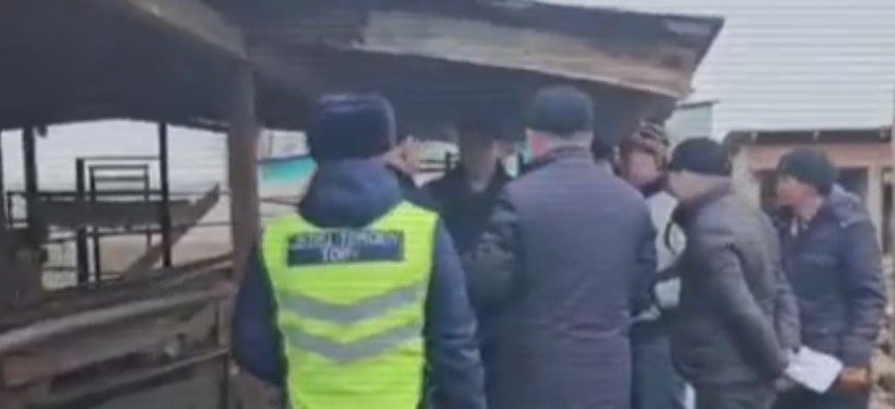 полиция полиция