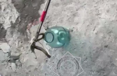 змея