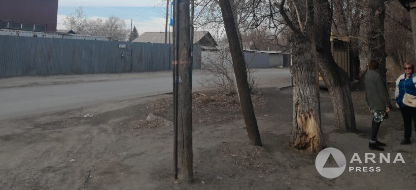 дерево дерево