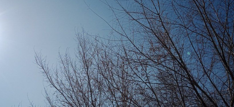 апрель, погода
