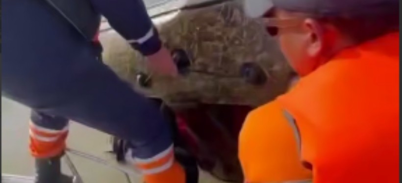 ДЧС, помощь на воде ДЧС, помощь на воде