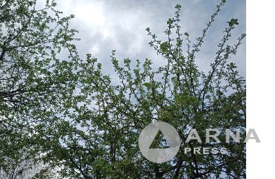 апрель, погода
