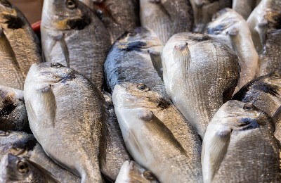 рыба, рыбная продукция