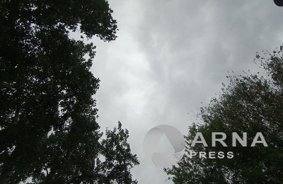 погода, природа