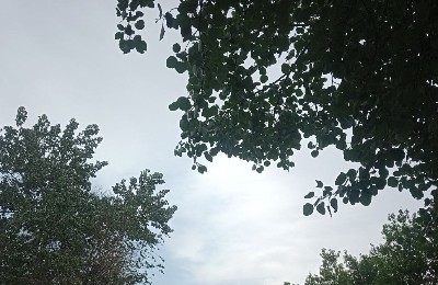 погода, май