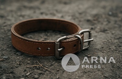 ошейник, Arnapress.kz