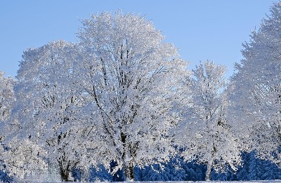 зима, погода