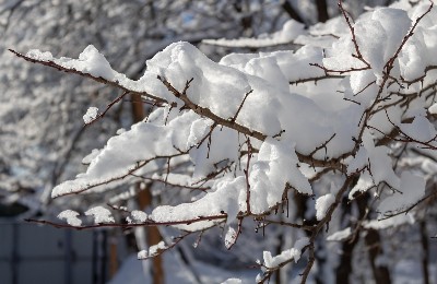 зима, снег
