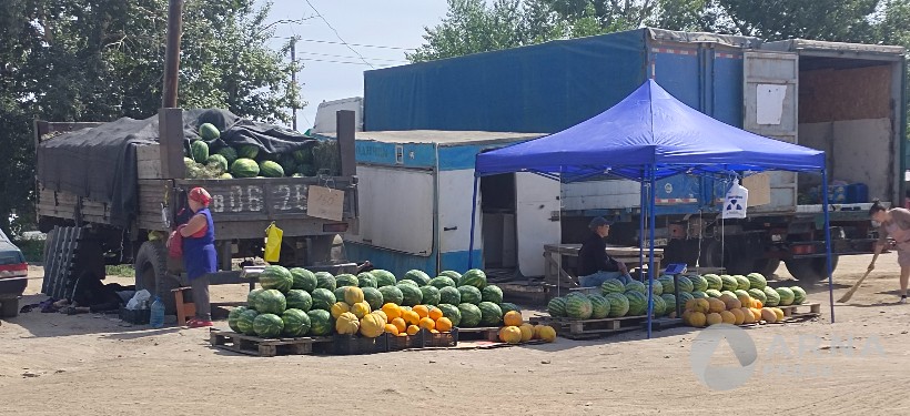 арбузы, дыни, продажа, Arnapress.kz арбузы, дыни, продажа, Arnapress.kz