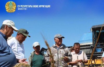 рис, сельское хозяйство