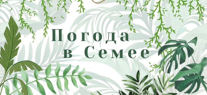 Прогноз погоды в Семее на Arnapress: 25.08.24 – 29.08.24