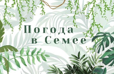 Прогноз погоды в Семее на Arnapress: 25.08.24 – 29.08.24