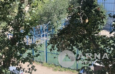 двор, поле, Arnapress.kz