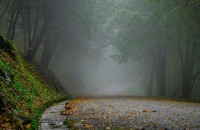 осень, погода