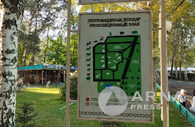 план