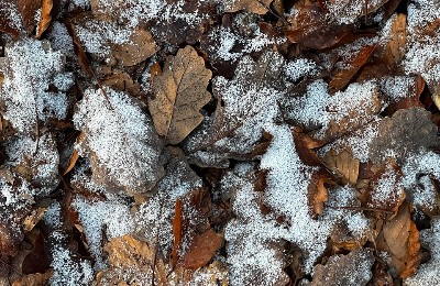 снег, заморозки