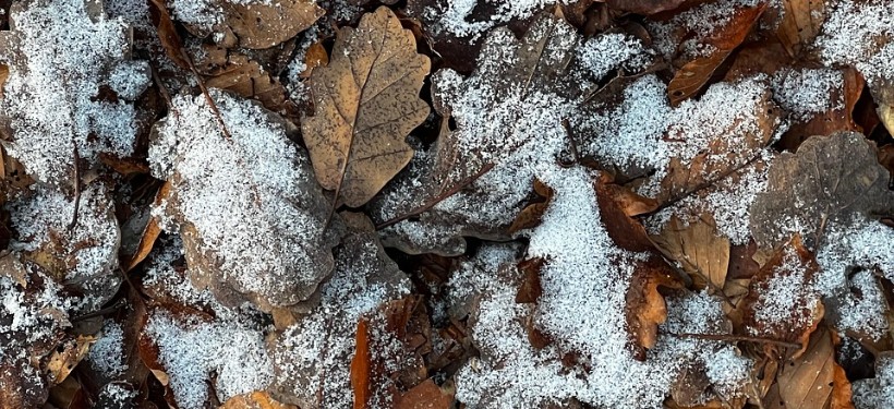 снег, заморозки