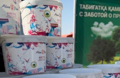 Alina Group