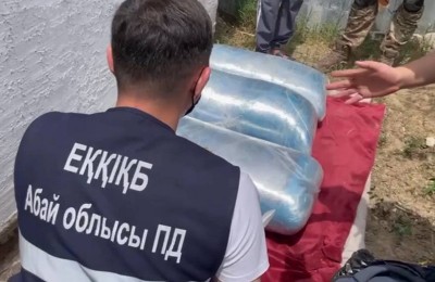 полиция, тексеріс