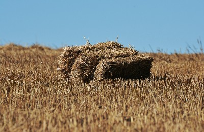 сено, урожай