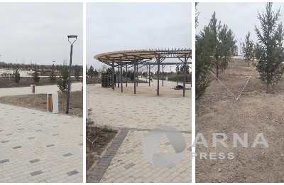 парк, озеленение