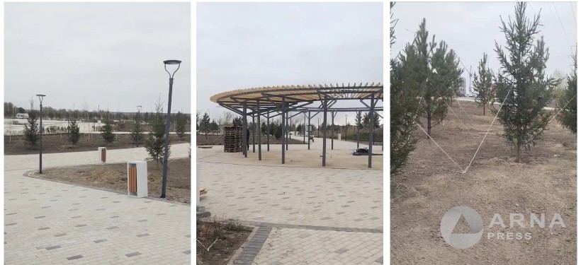 парк, озеленение