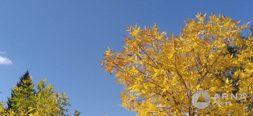 осень, погода, тепло осень, погода, тепло