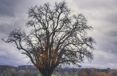 осень, тучи