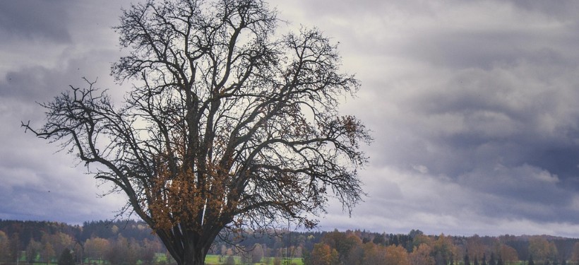 осень, тучи осень, тучи