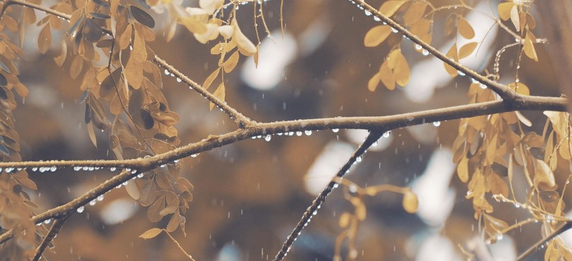 дождь, непогода дождь, непогода