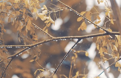 дождь, непогода