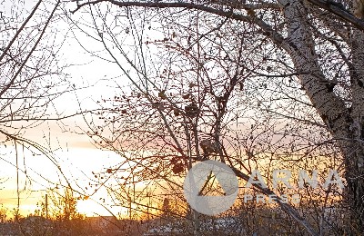 осень, погода