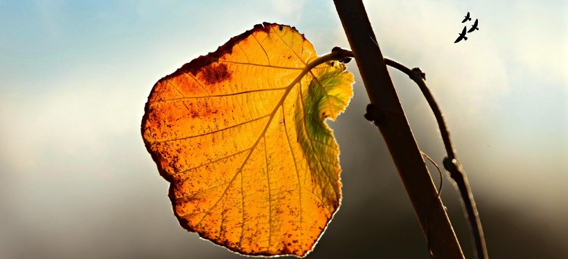 осень, погода осень, погода