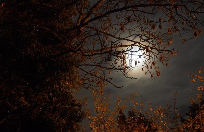 ноябрь, погода