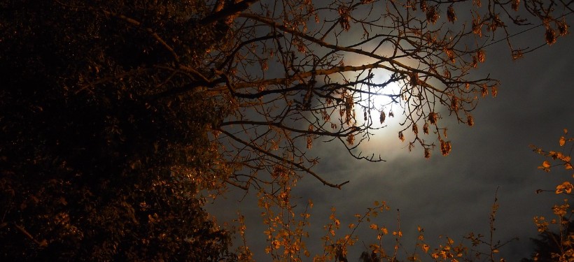 ноябрь, погода ноябрь, погода