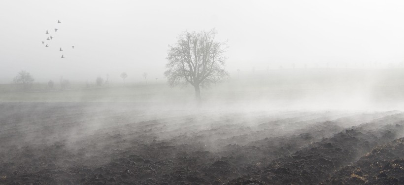 ноябрь, осень, погода