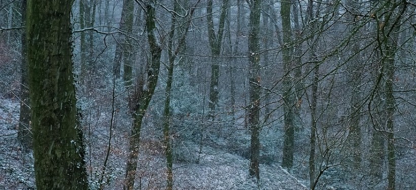 непогода, снег