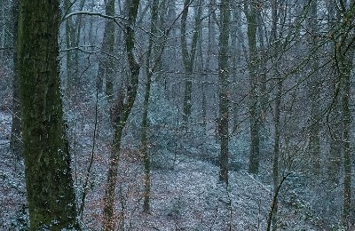 непогода, снег