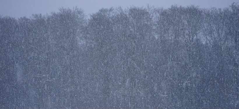 метель, снег